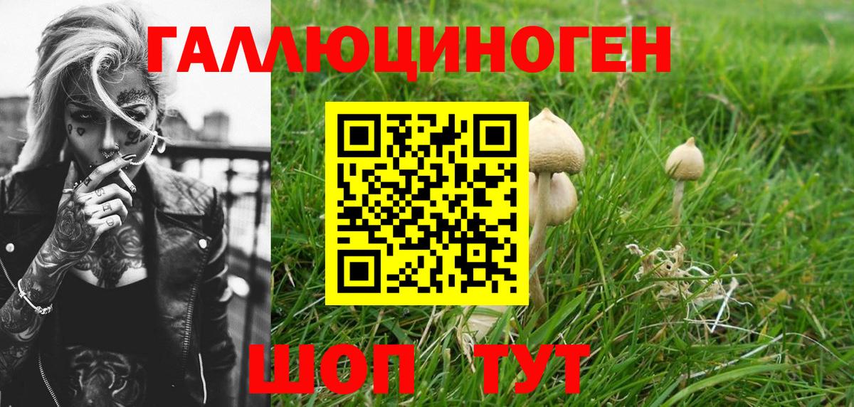 Галлюциногенные грибы ЛСД Алейск